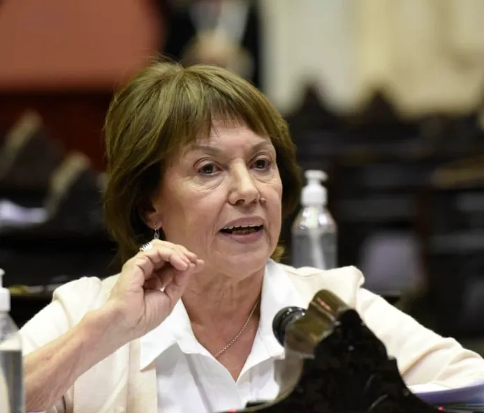 Diputada Blanca Osuna impulsando la ley de jubilación especial para el sector minero nacional.