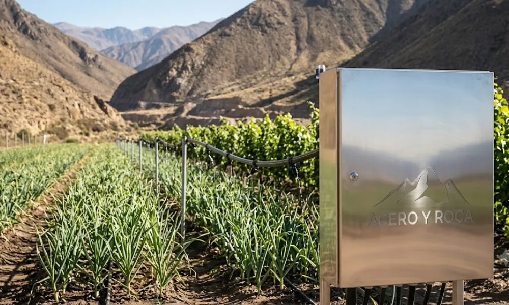 Proyecto de agricultura tecnificada y diversificación económica en San Juan. Contenido Original de ACERO Y ROCA - Prohibida su reproducción