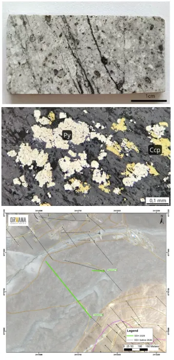 Muestras de testigos de perforación cilíndricos ordenados en cajas técnicas para su análisis petrográfico en el proyecto de oro y cobre Taguas.
