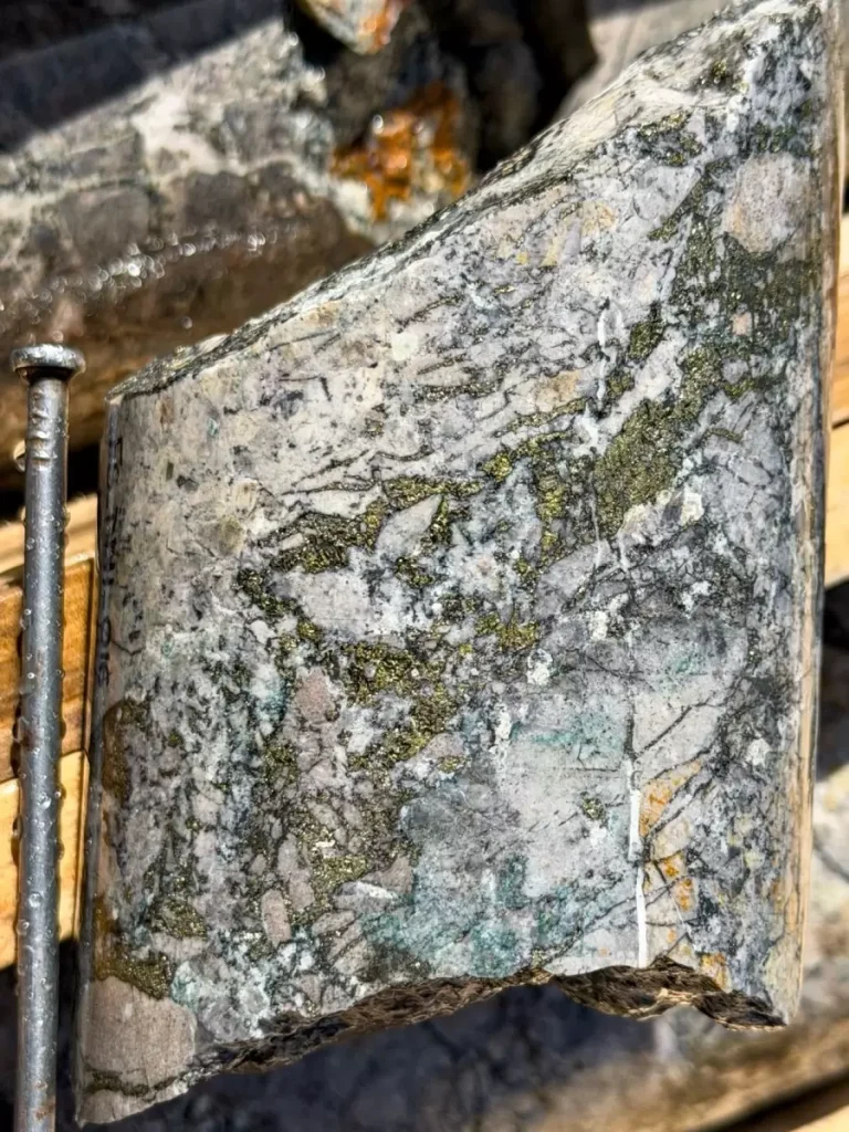 Testigos de perforación diamantina con presencia de sulfuros de cobre en el proyecto Filo Sur.