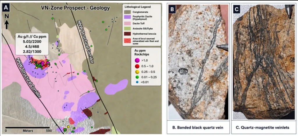Muestras de roca con estructuras de vetas de cuarzo negro halladas en el proyecto de cobre Sobek.
