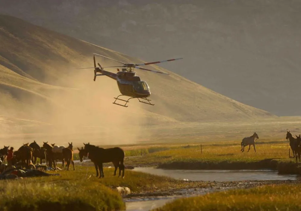 Helicóptero aterrizando cerca de un campamento con caballos y personas.