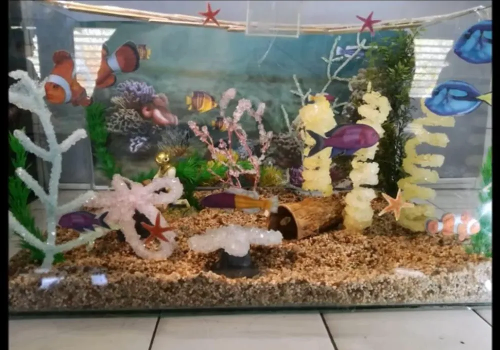 "S.O.S. Corales", proyecto presentado por estudiantes de la Escuela Industrial Domingo Faustino Sarmiento en el Concurso de Crecimiento de Cristales 2018, en la categoría Policristales de Alumbre de Potasio. 