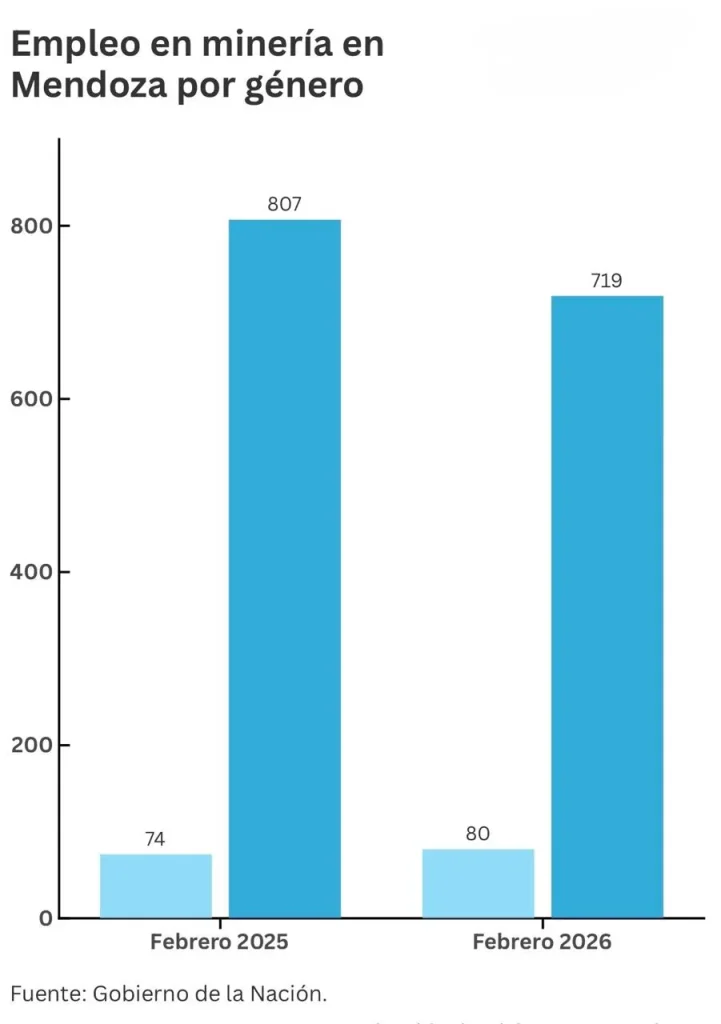 Estadísticas de la participación femenina en Mendoza