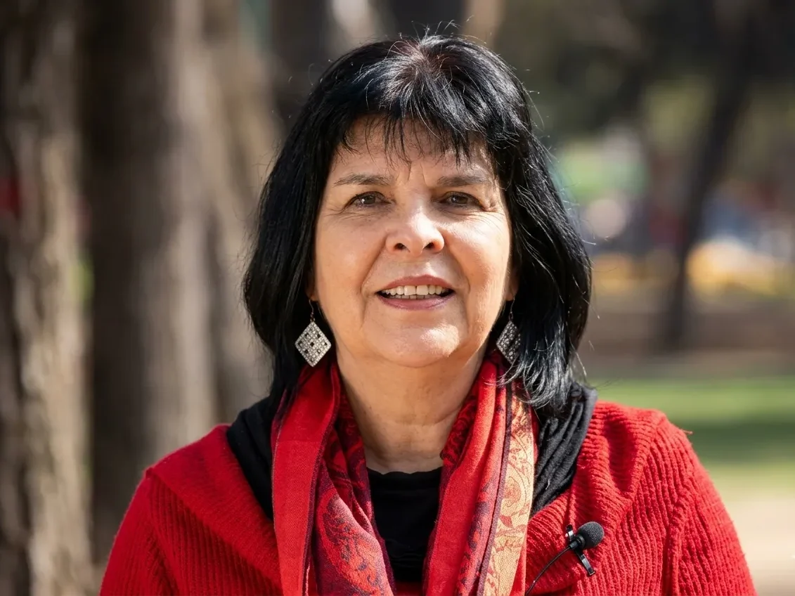 Flavia Liberona aboga por la necesidad de actualizar el tratado binacional con la actualizacion del momento no partiendo del año 90