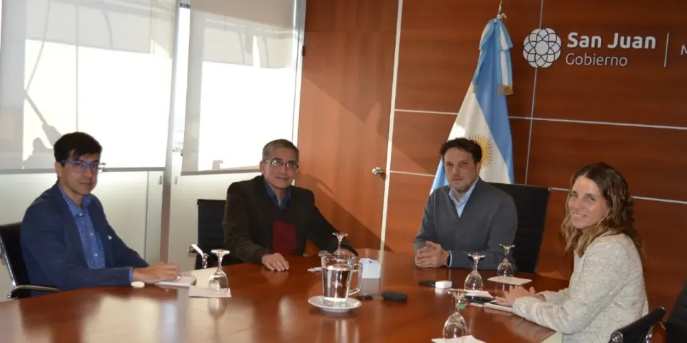 El decano Jorge Castro durante una mesa de trabajo junto a autoridades del Ministerio de Minería provincial.