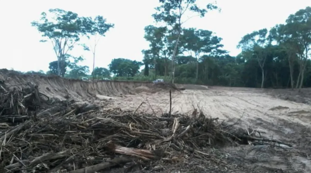 desmonte ilegal la tala de 6,7 hectáreas de árboles a orillas del río Surutú.
