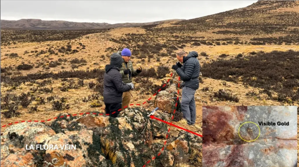 Oro de alta ley en Santa Cruz: Daura Gold revoluciona el Macizo del Deseado