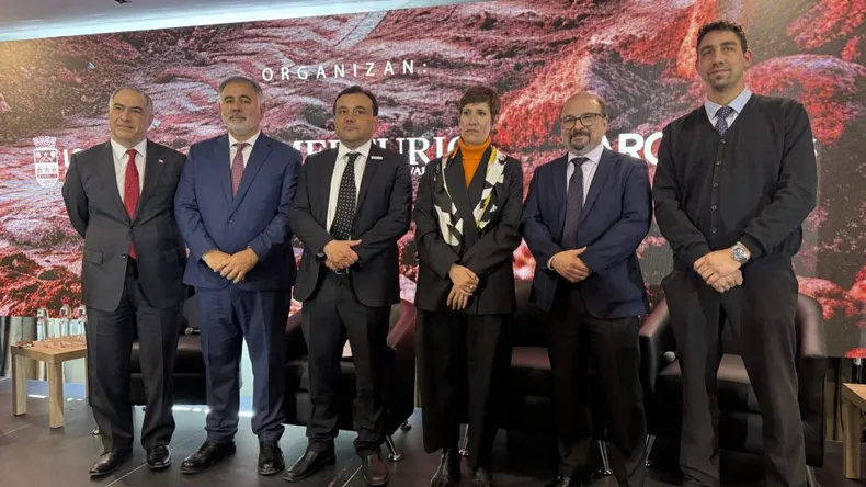 La ministra Jimena Latorre exponiendo en el encuentro de minería binacional sobre el Paso Los Libertadores.