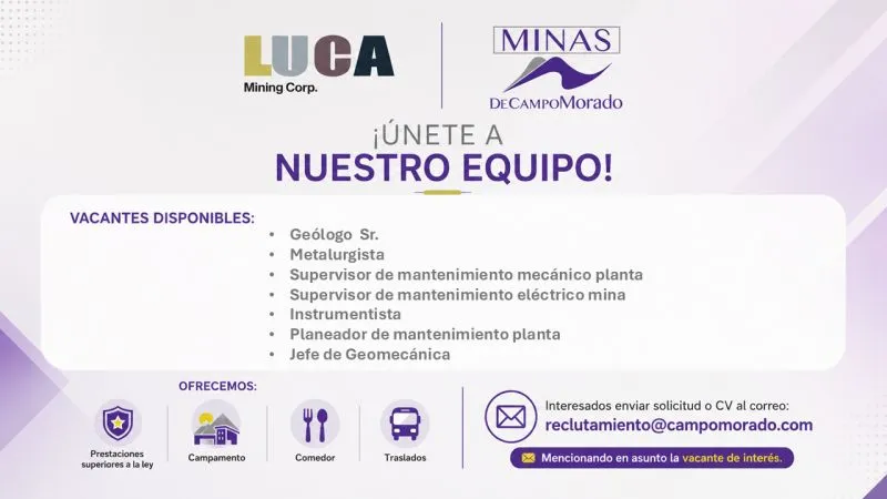 Luca MIning búsqueda laboral