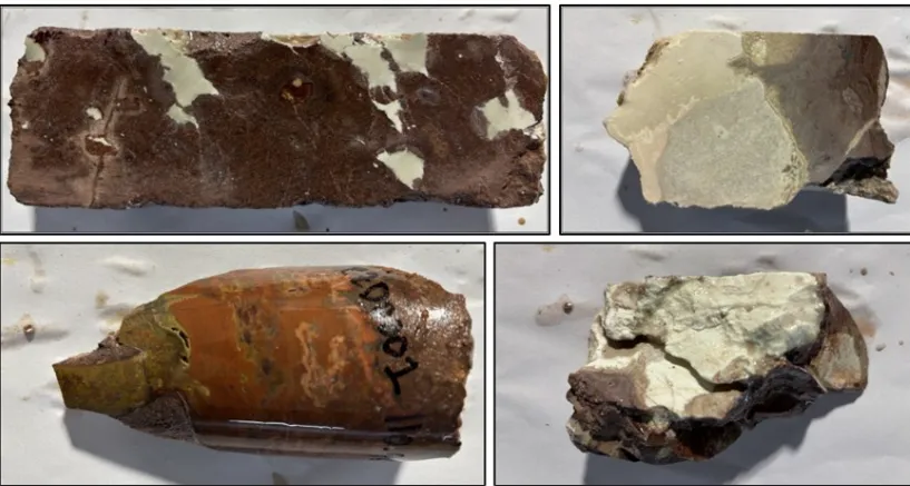 Muestra de roca volcánica con vetas de cuarzo analizada en la campaña de exploración de plata Santa Cruz.