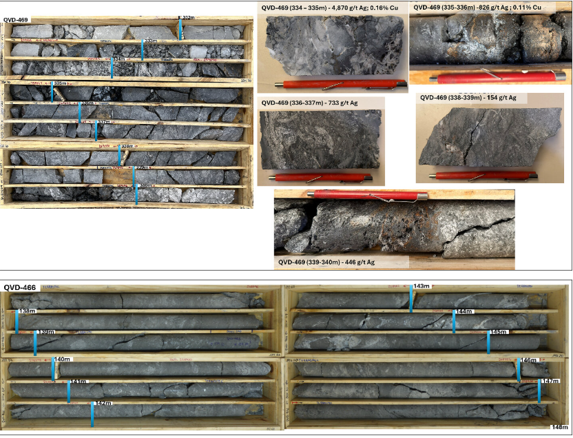 Cajas con testigos de roca mineralizada extraídos durante la campaña de perforación de plata Salta.