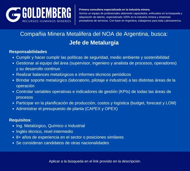 Goldemberg búsqueda laboral