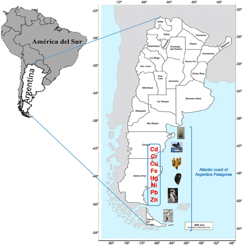 Localización donde se realizó el estudio  Revisión exhaustiva de los últimos 25 años sobre metales en la costa atlántica de la Patagonia