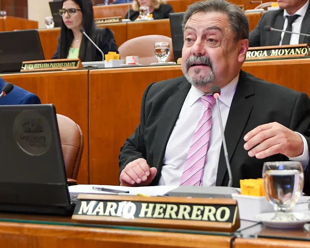 Diputado provincial mario herrero