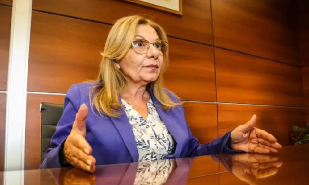 Diputada Marisa López