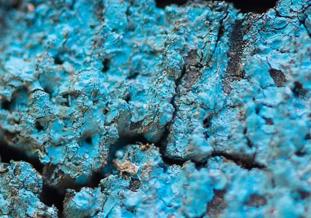 pano detalle de cobalto, oro azul