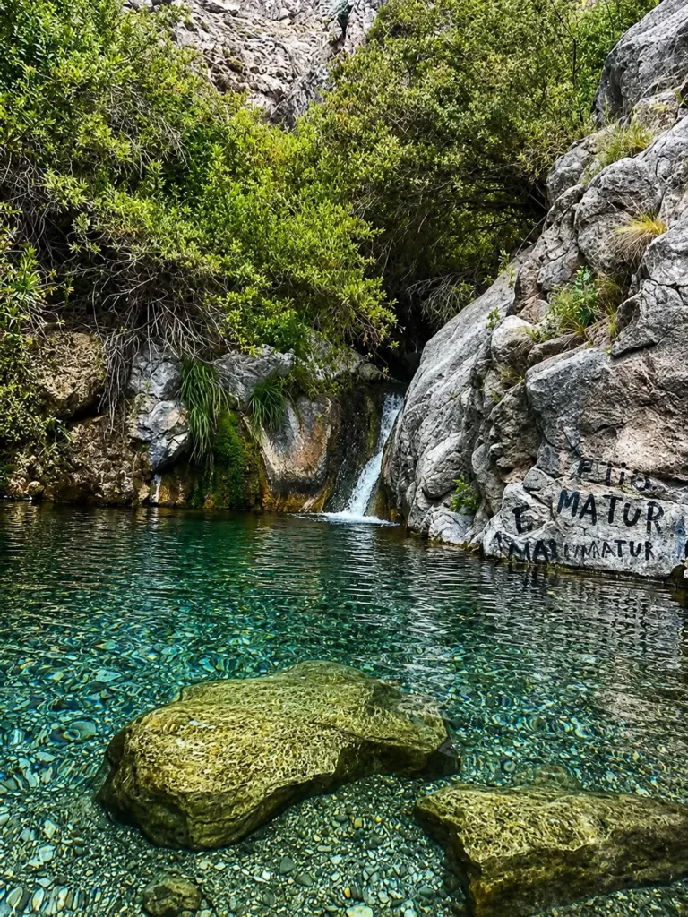 Paredones de piedra caliza y senderos en Cienaguita, San Juan.