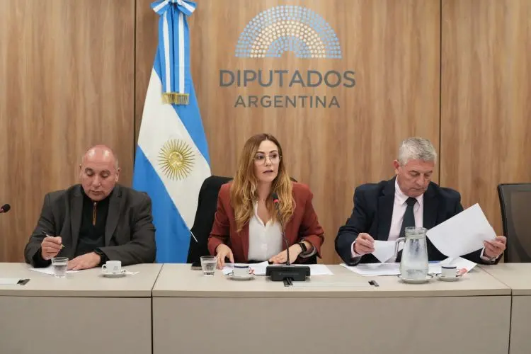 Miembros de la comisión de mineria de la nación argentina en plena sesion