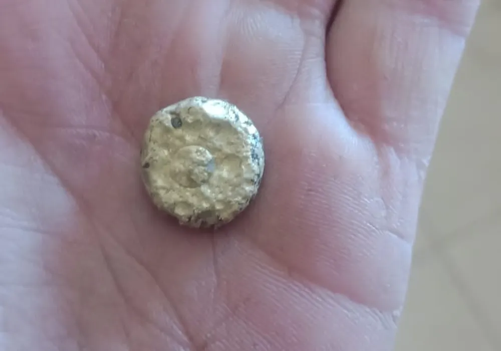 boton de oro