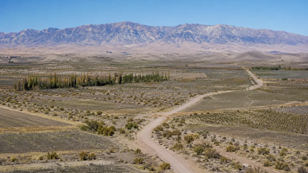 Zonas de campo cordilleranas.