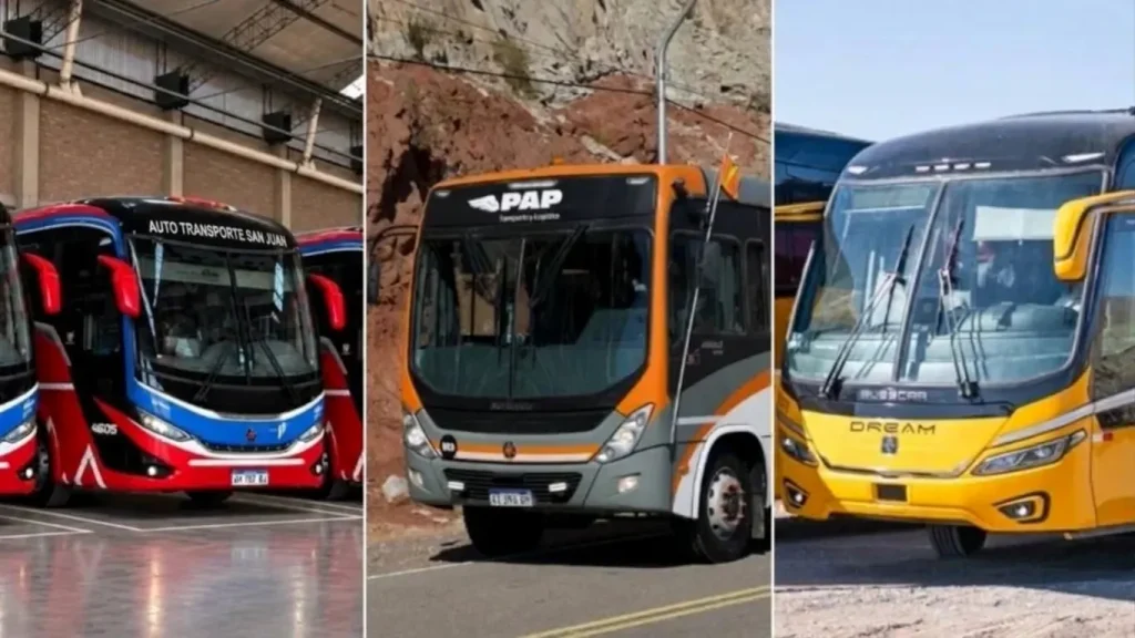 UTE para licitar el transporte de vicuña
