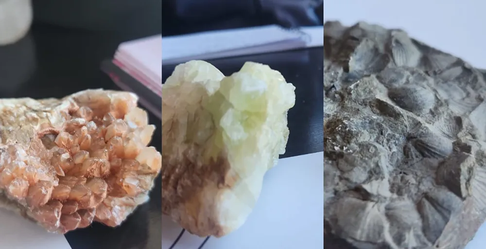 Detalle de diferentes minerales y rocas cristalizadas pertenecientes a la colección de Cayetano Castro, con muestras de distintas formas, colores y estructuras.