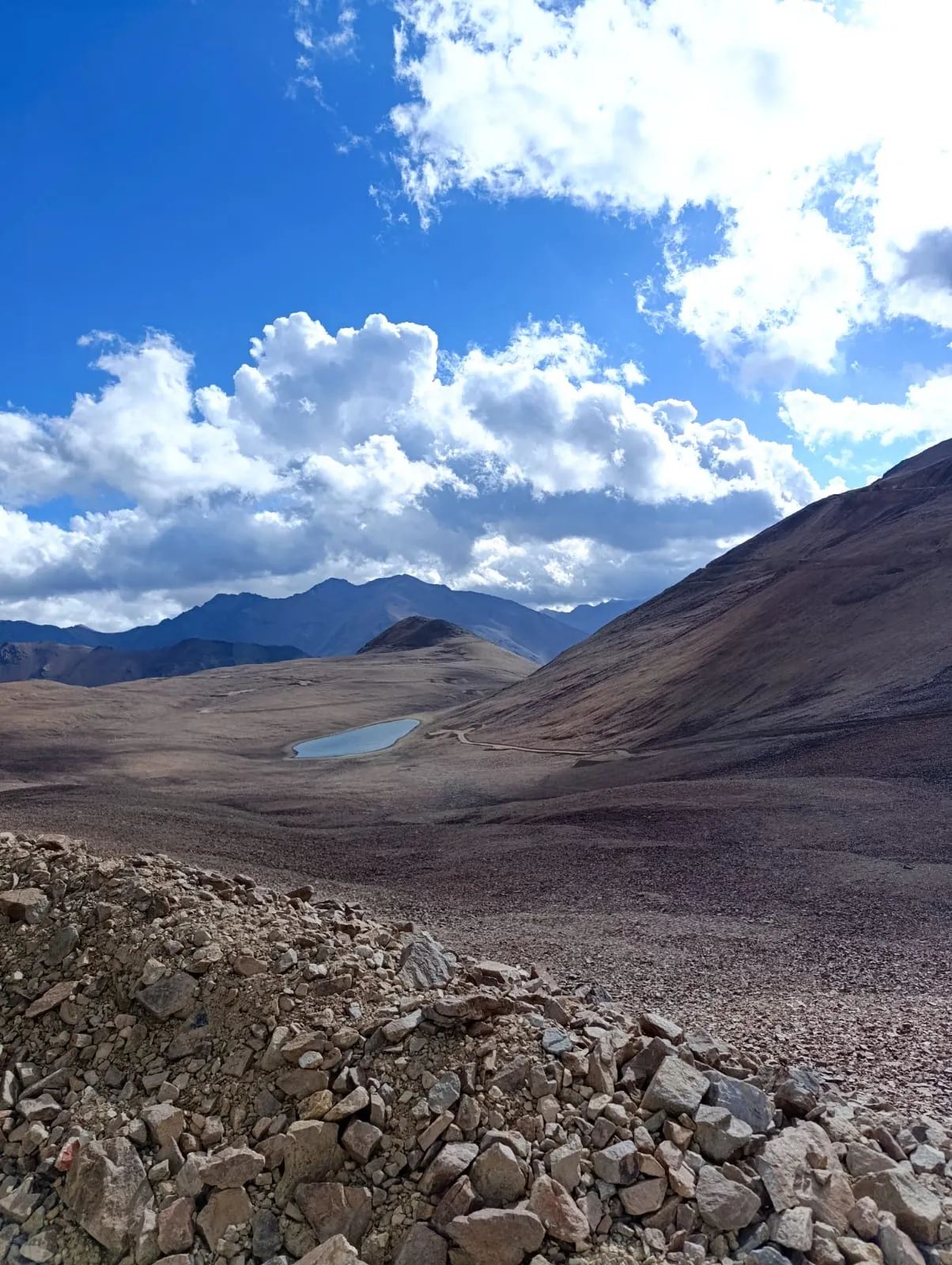 El ADN de la montaña: la UNSJ resguarda el germoplasma cordillerano para asegurar la remediación ambiental en Los Azules