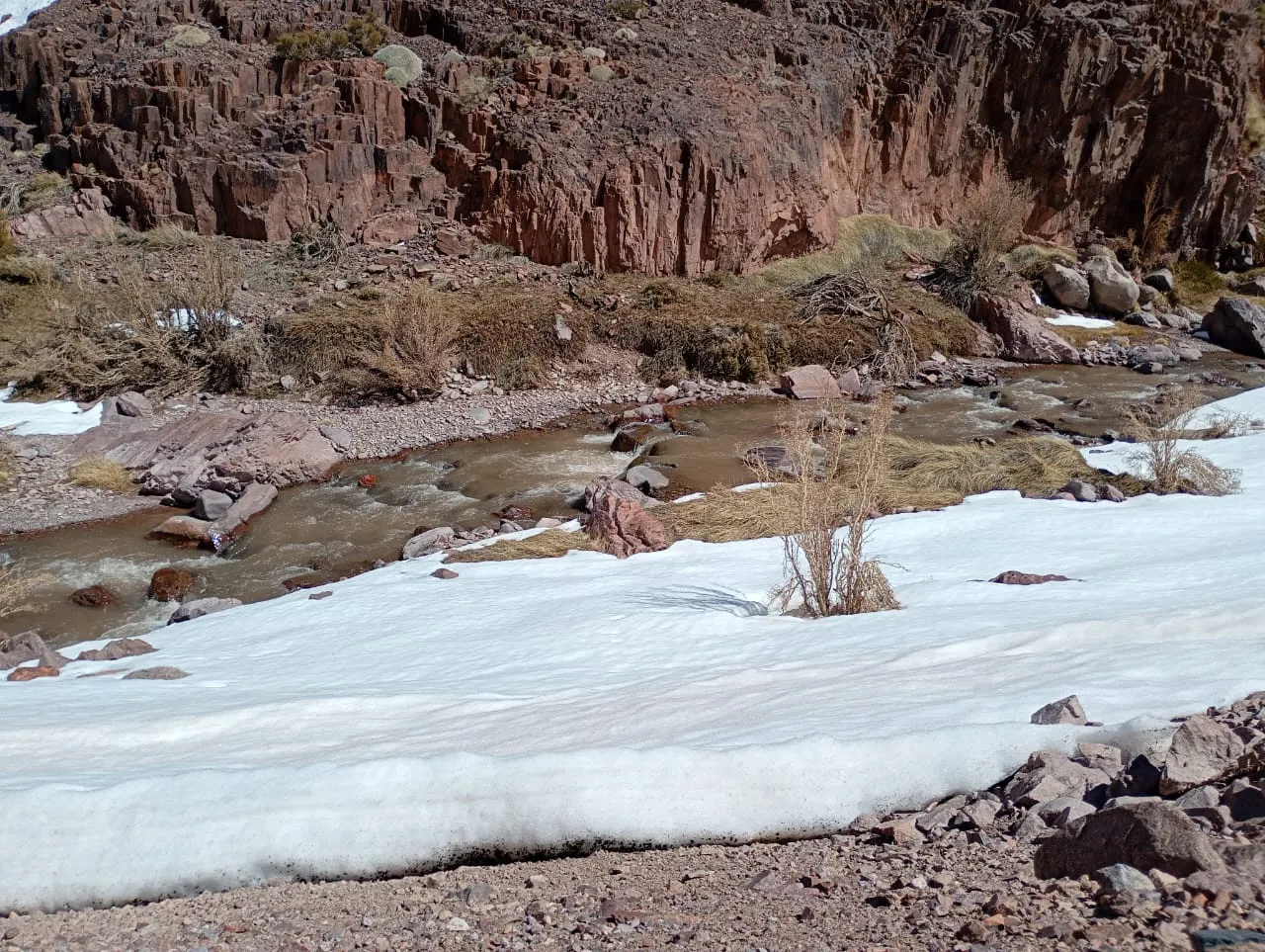 El Río Calingasta y el ajustado margen ambiental del camino a Los Azules El Río Calingasta y el ajustado margen ambiental del camino a Los Azules