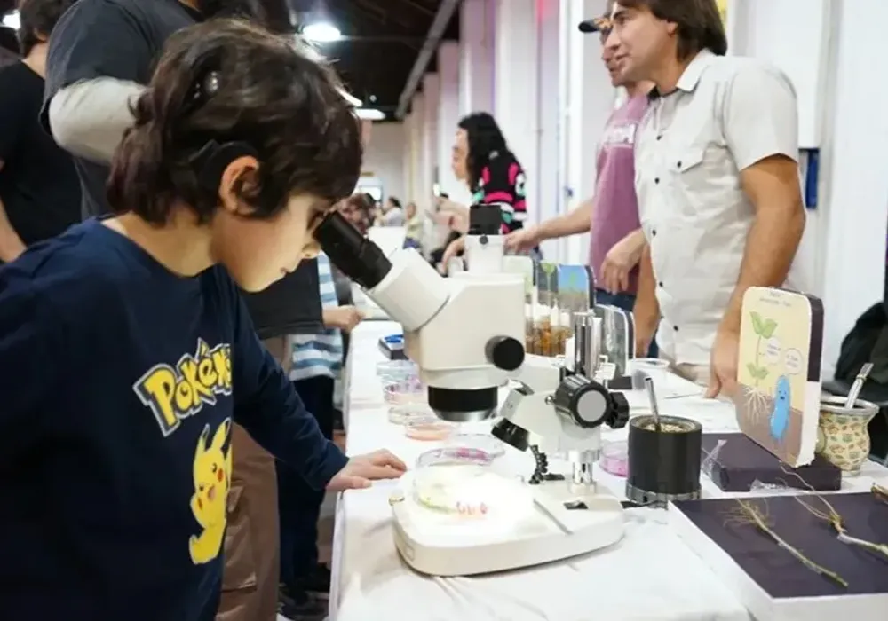 Un niño observa muestras a través de un microscopio durante las actividades científicas del festival Crear Conciencia.