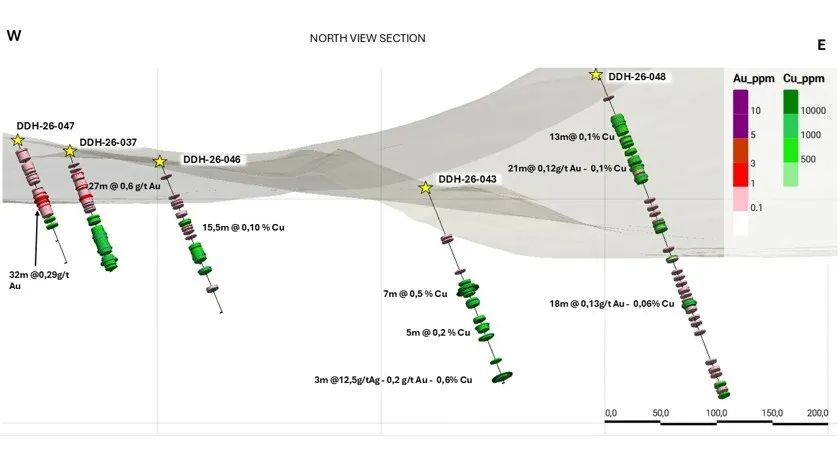 Imagen de la  sección transversal de Cerro Viejo