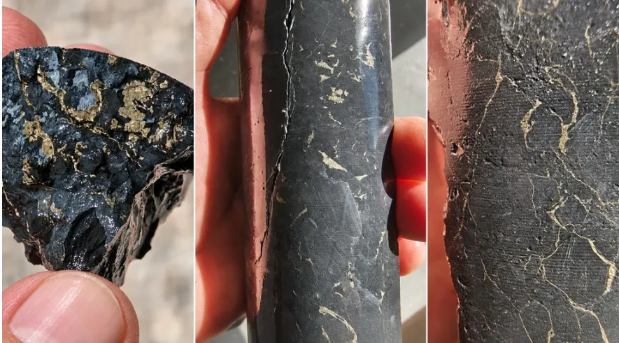 testigos de perforación diamantina con mineralización de oro y plata en mina Gualcamayo.