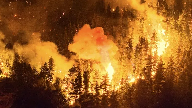 Foco activo de incendio forestal consumiendo árboles de bosque nativo en la cordillera de Chubut.