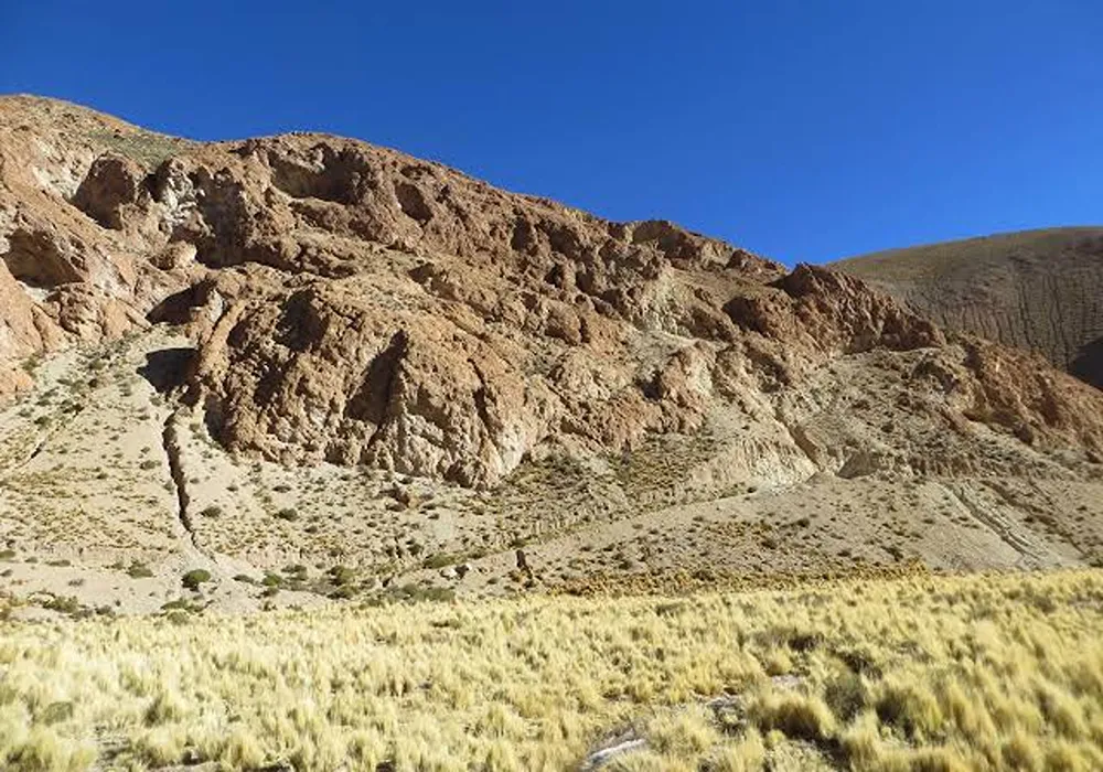 Latin Metals otorga opción a Aumin Argentina para explorar el proyecto aurífero Organullo
