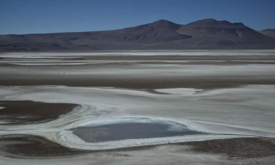 Jujuy: Patagonia Lithium confirmó el potencial de flujo de litio en el salar de Jama