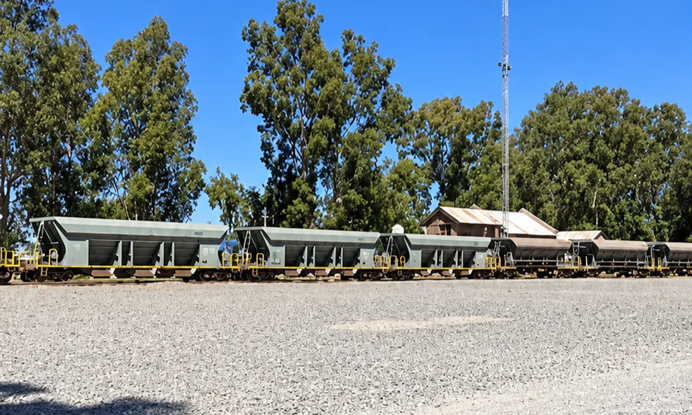 Vagones de carga ferroviaria en la estación de Cañada Honda, parte de la infraestructura logística utilizada por la minería no metalífera de Sarmiento.