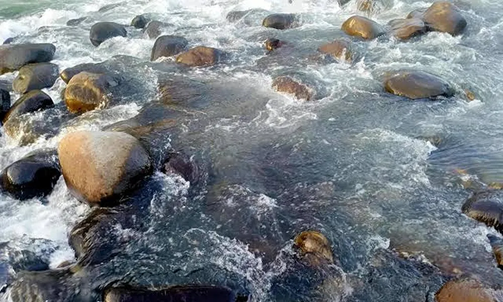 Desalinización en la cuenca del río Jáchal: la alternativa local para el Proyecto Vicuña