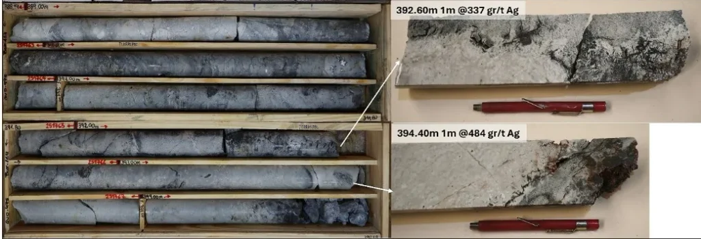 Cajas de testigos de perforación con mineralización de plata y cobre analizadas por geólogos en Salta.