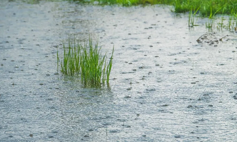 precipitaciones a causa del super niño