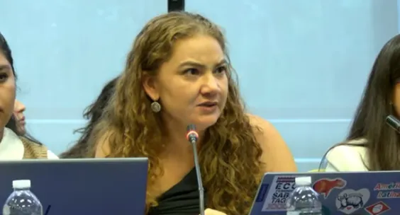 Helena Rocha, de CEJIL, cuestionando las reformas vinculadas a denuncias por mineria de cobre y glaciares.