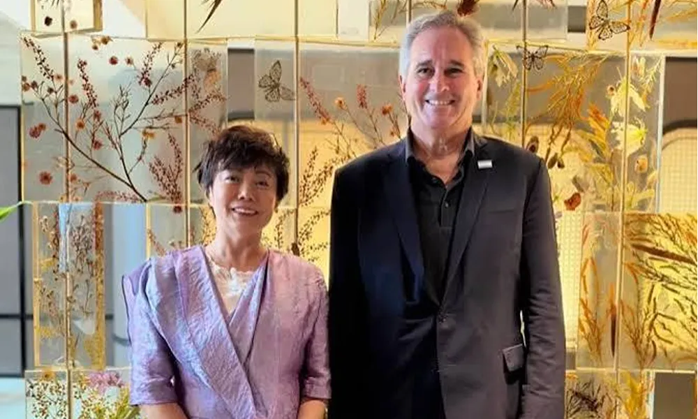 stella li y pablo quirno