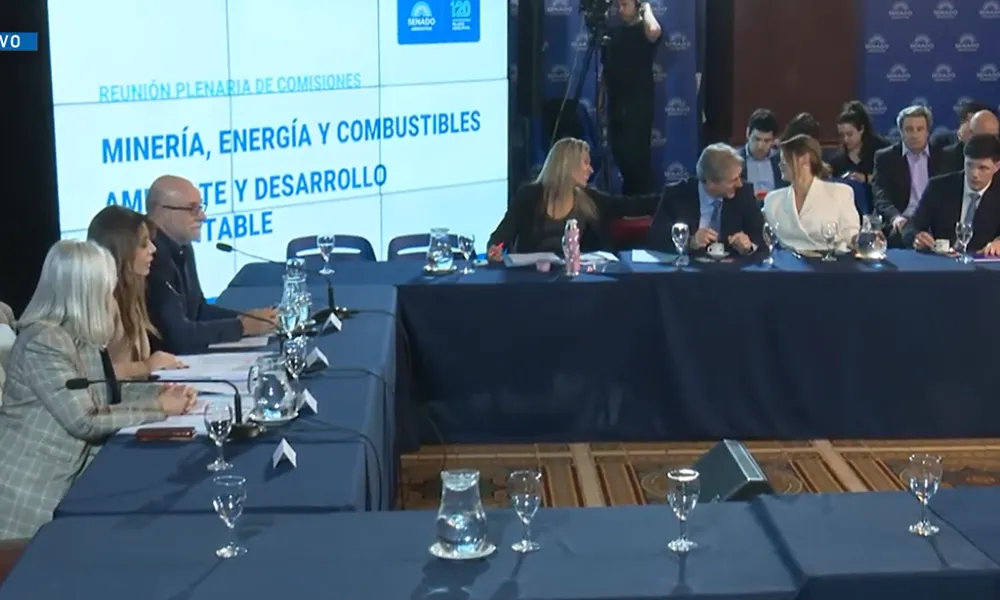 El Senado reabre el debate para sancionar una ley nacional de cierre de minas